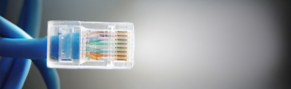 Network cable